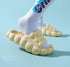 Premium Cookie Slides - EvoShark